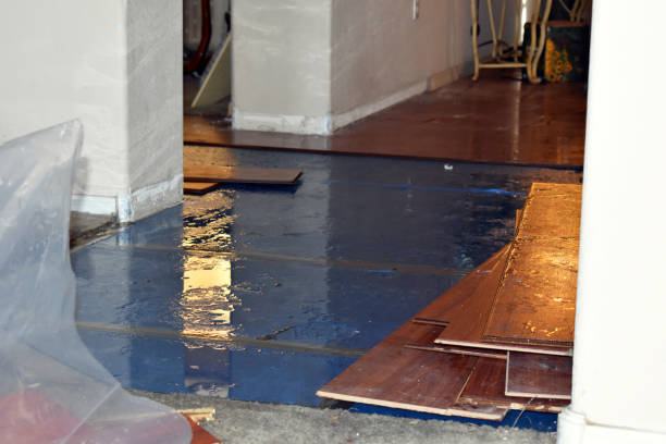 Professional Flood Damage Repair technician working in Lawrence, IN